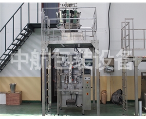 大枣坚果颗粒自动称重式包装机