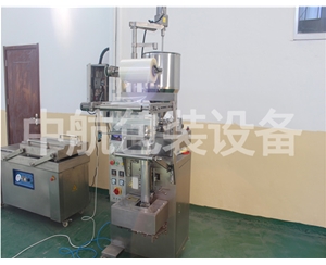 食盐粉剂颗粒制袋式罐装包装机